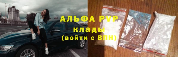 индика Верея