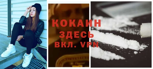 индика Верея