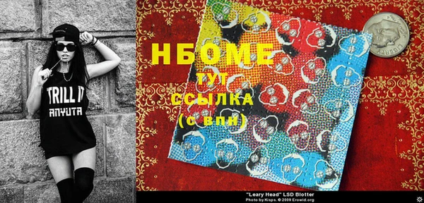 индика Верея
