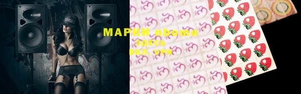 индика Верея