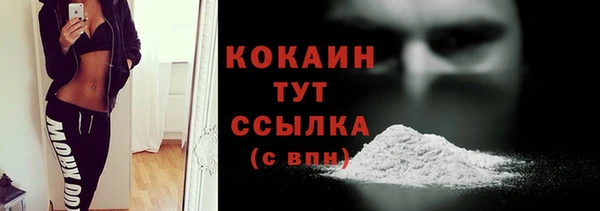 индика Верея
