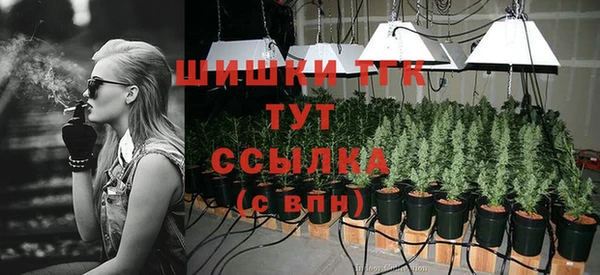 ECSTASY Верхний Тагил
