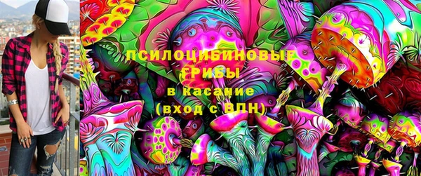 индика Верея