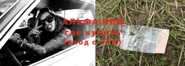 индика Верея