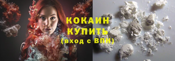 индика Верея