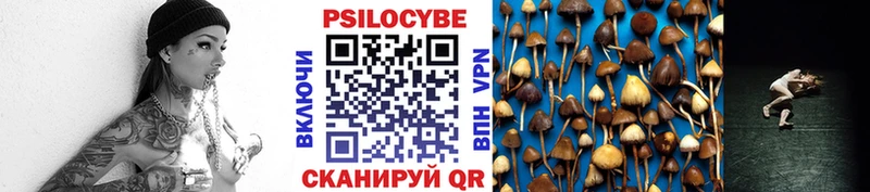 дарк нет как зайти  цена   Себеж  Галлюциногенные грибы GOLDEN TEACHER 